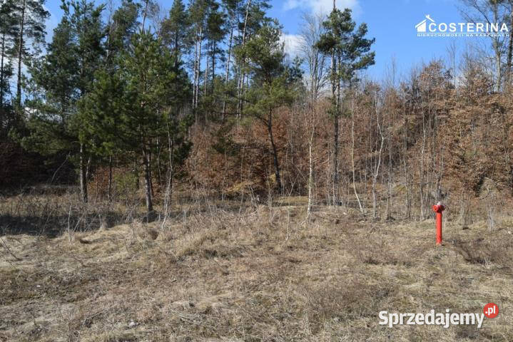 Sprzedam działka Parchowo 1312m2