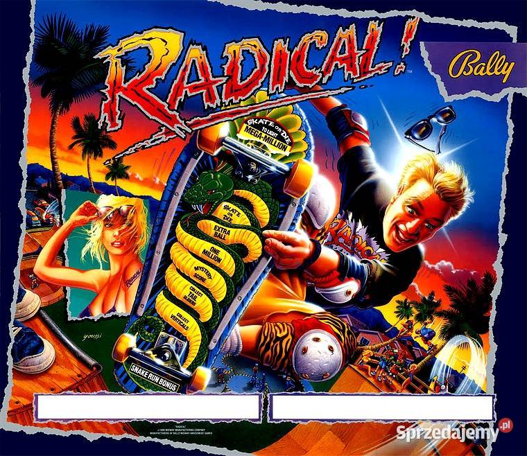 flipper fliper Radical Stan pinball 1990r Elbląg