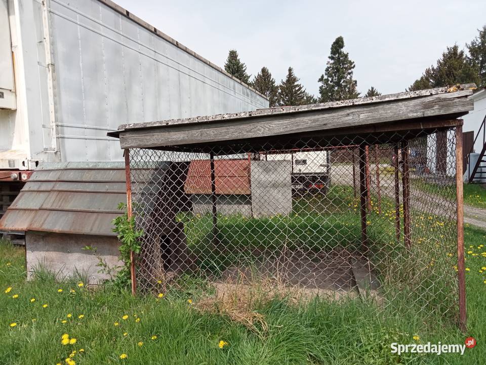zagroda kojec psa mazowieckie Wołomin