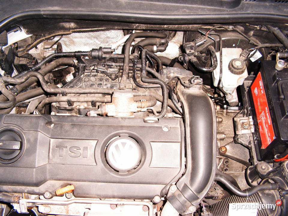 Volkswagen Golf 14 Etylina Combi 2012 r Golf Września