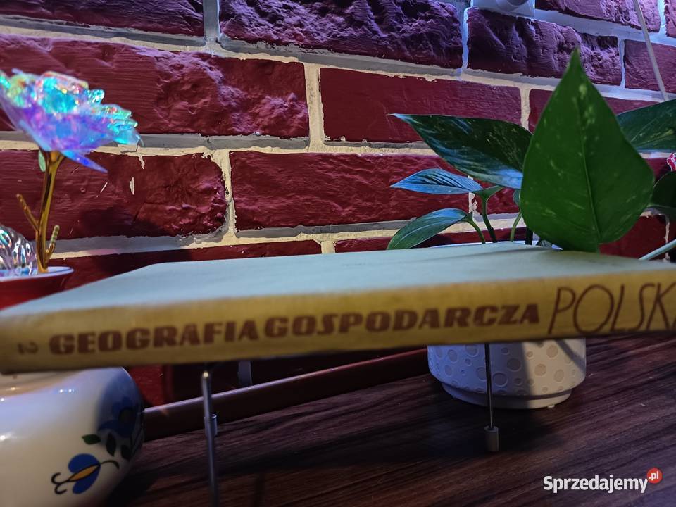 Geografia Gospodarcza Polski Warszawa 1962 Bydgoszcz