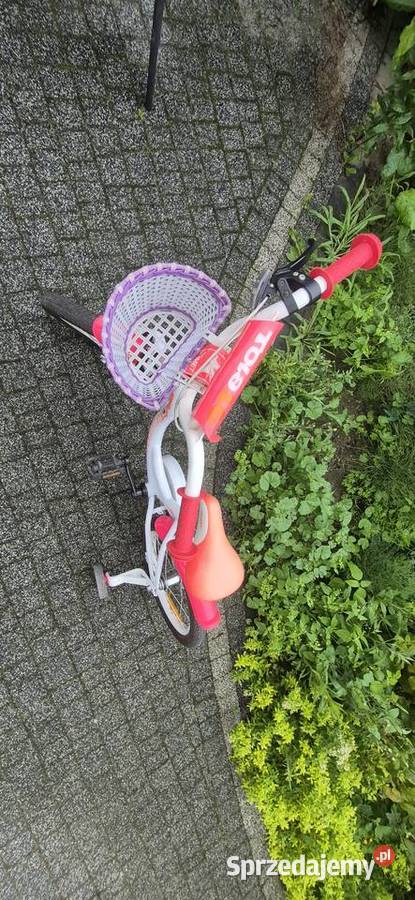 Rower Romet Tola 16