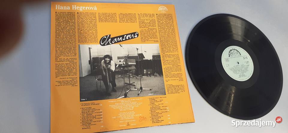 Hana Hegerova Chansonswinyl vintage pamiątka PRL kujawsko-pomorskie Tuszkowo