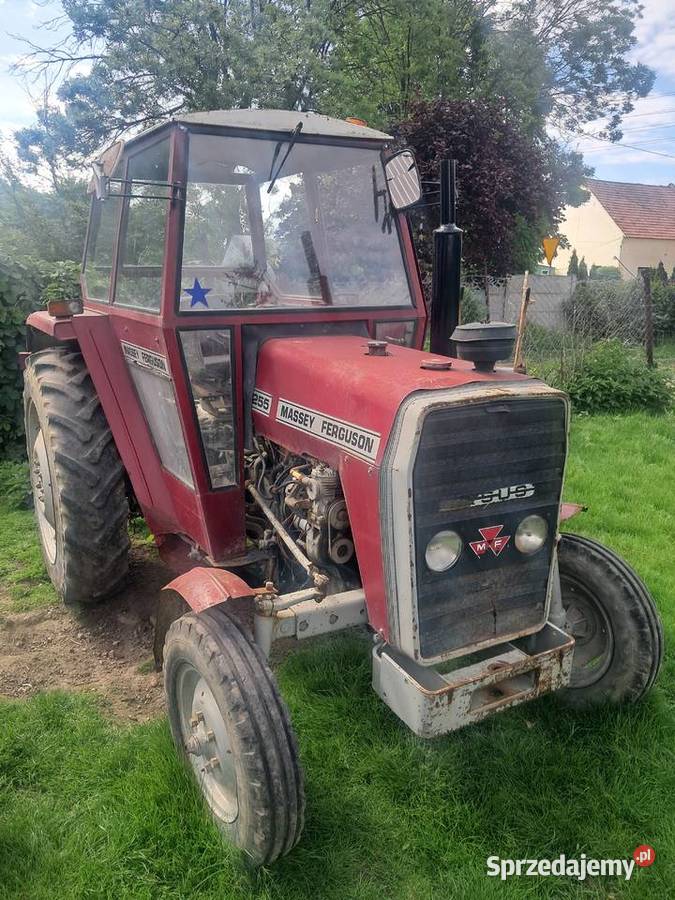 Ciągnik Massey Ferguson Tyniec nad Ślęzą sprzedam