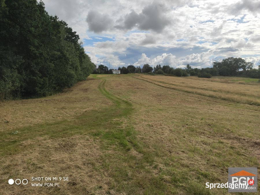 Grunt Skrobotowo 3500m2 60zł/m2 sprzedam