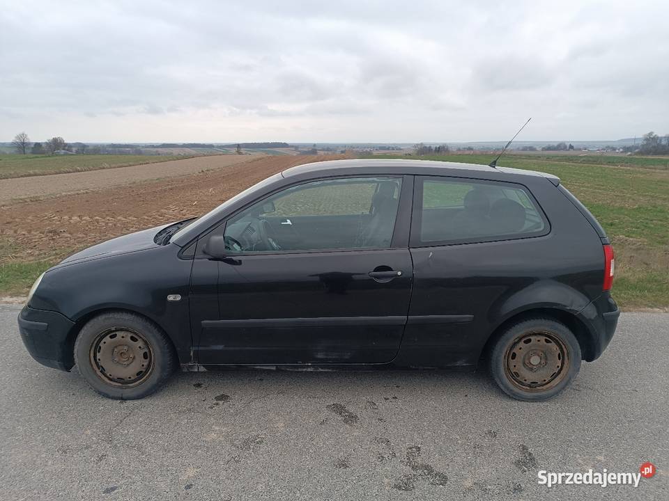 VW Polo Jeżówka