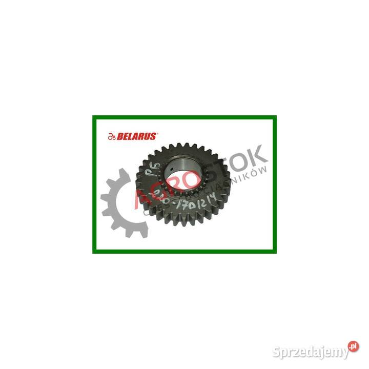 Koło zębate skrzyni mtz 320 Parczew