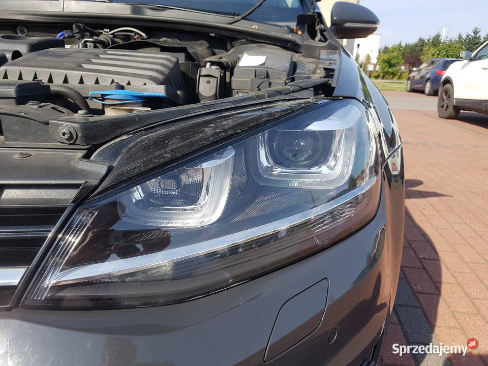 Volkswagen Golf VII 20 TDI BMT Highline DSG EU6 podgrzewane fotele Konin