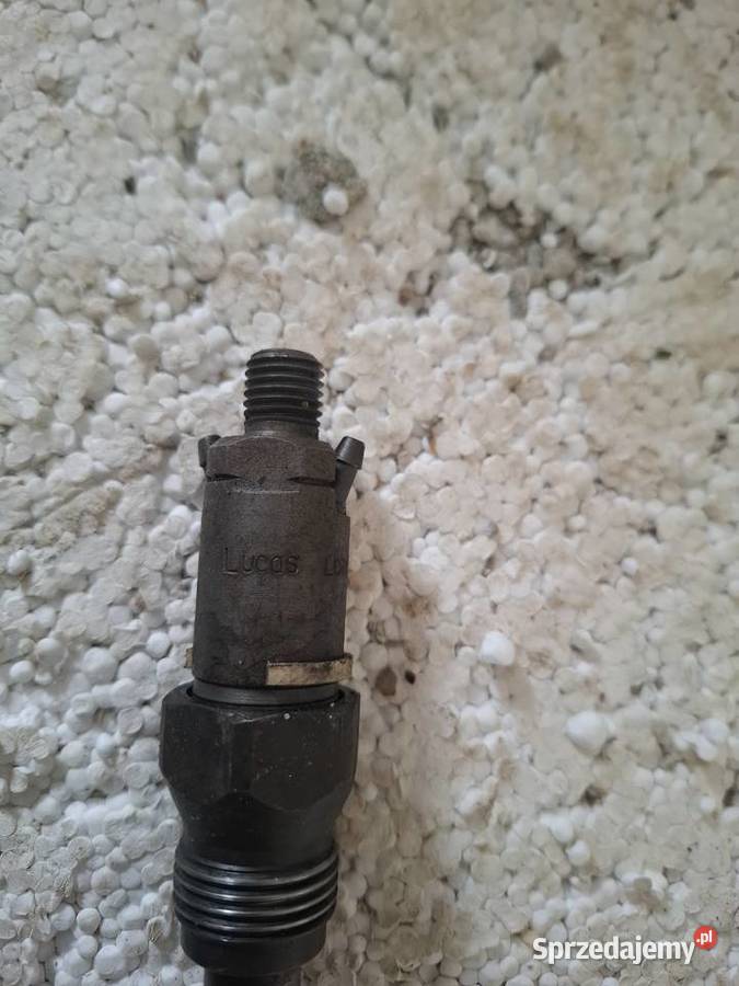 Pompa wtryskowa citroen 19 td Motoryzacja Prudnik