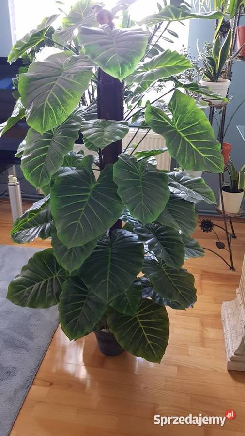 Sztuczny Filodendron Monstera Chorzów