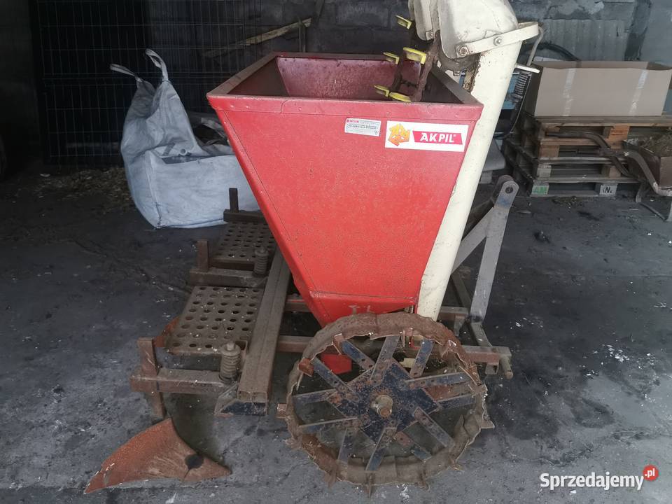 Sadzarka wielkopolskie Kalisz