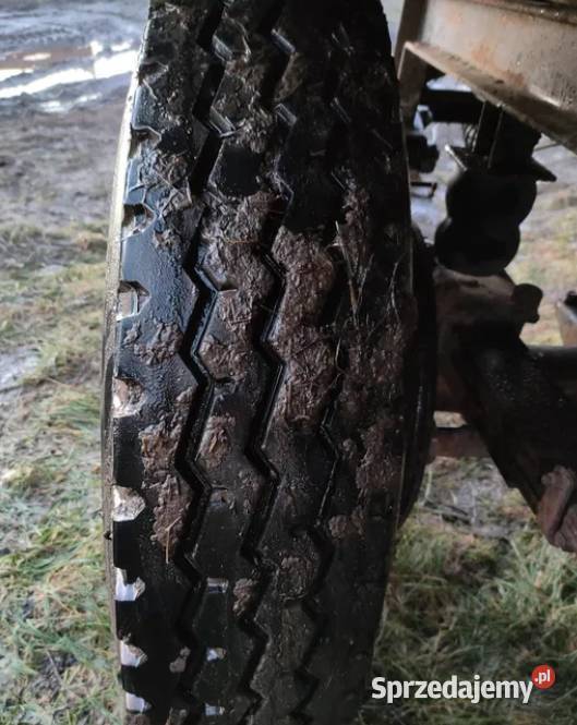 Przyczepa do przewozu zwierząt trzody chlewnej Pozostałe Dmosin