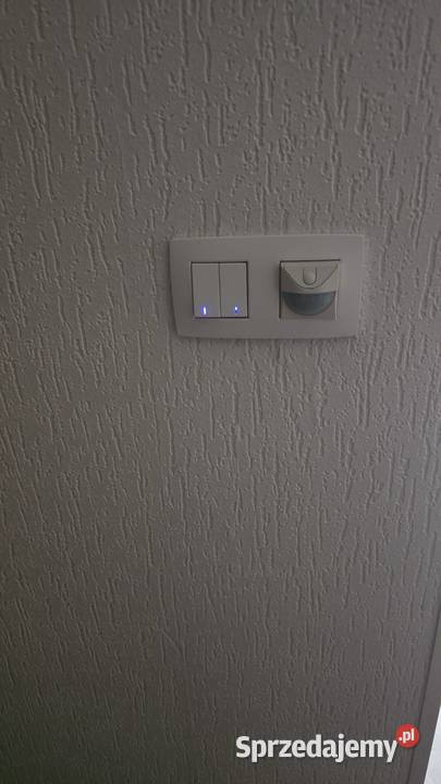 Niko 17037223 moduł led niebieski Kołobrzeg sprzedam