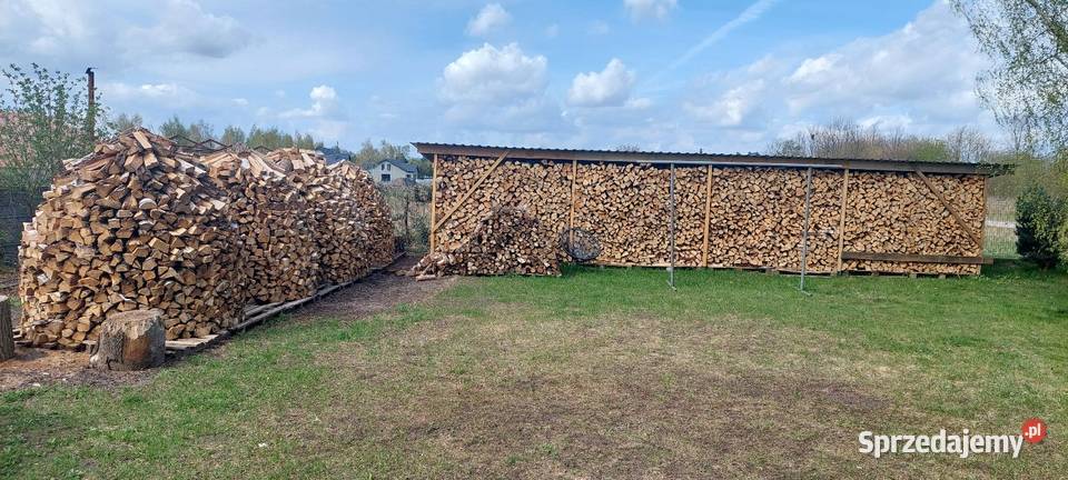 Drewno kominkowe jednoroczne 80 brzoza Rzgów
