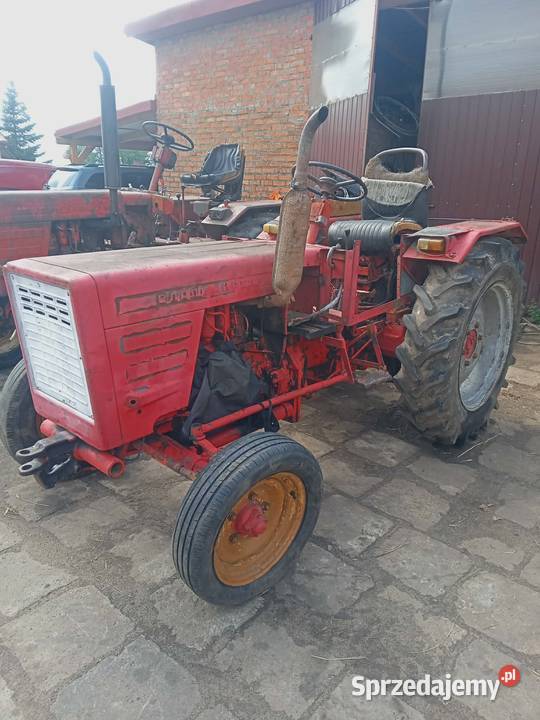Sprzedam t25 Gęś