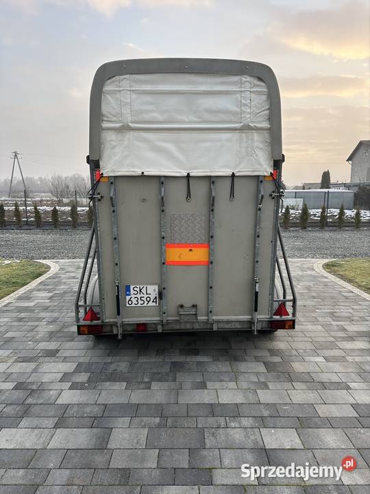 Przyczepa do przewozu 2 koni zwierząt Mokra