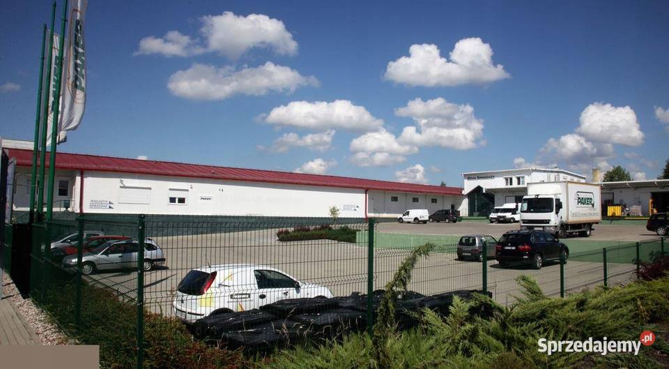 Do wynajęcia biura market magazyny 2502000 m2 przemysłowy Olsztyn