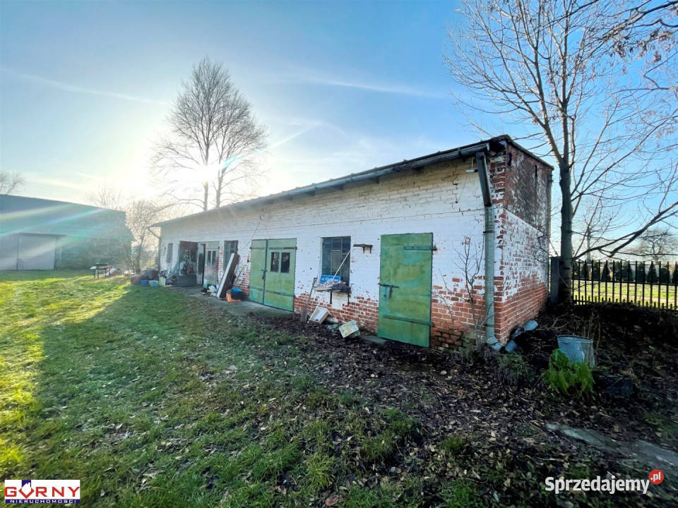 Dom Cisowa 460 metrów