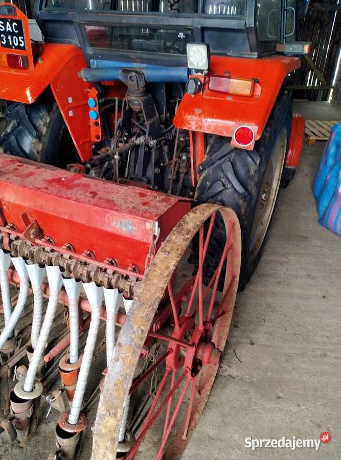 Siewnik Kaszub łódzkie Sieradz