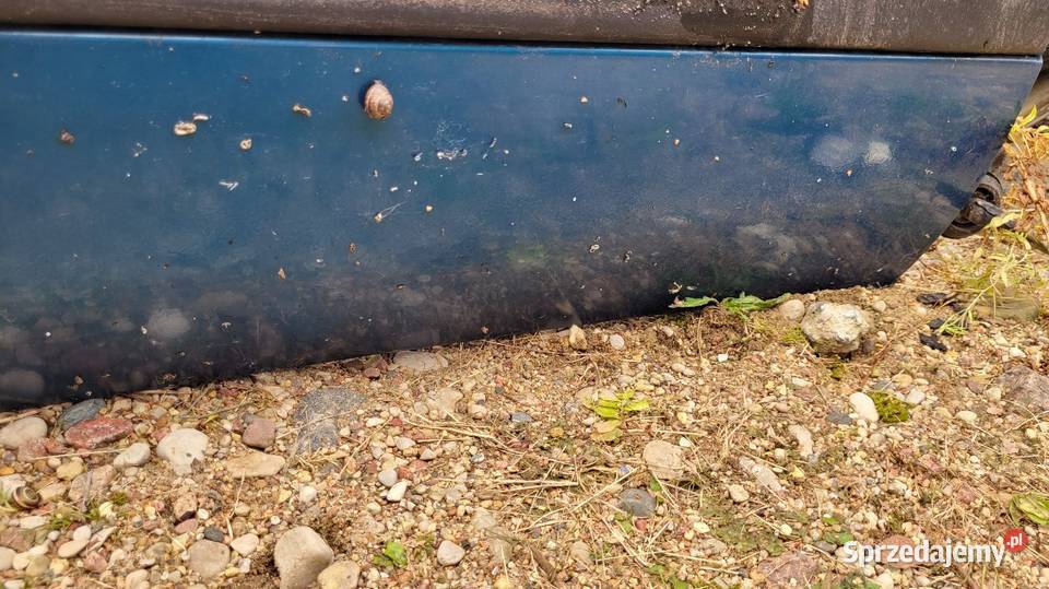 Drzwi Nissan Sunny N14 Łagów