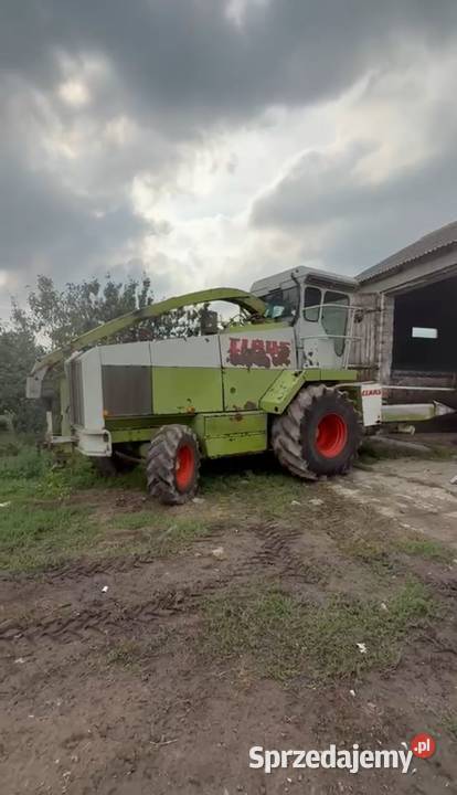 Sieczkarnia Claas jaguar 690 Wągrowiec