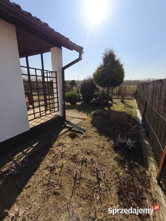 Działka ROD Magnolia 302m2 45k Sprzedaż Grudziądz