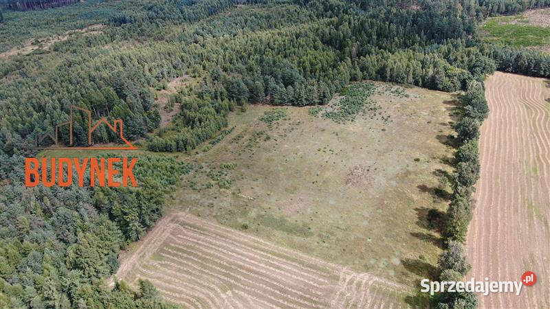 Działka siedliskowa Parchowo