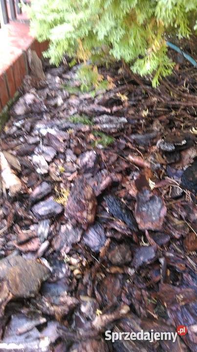 Kora ogrodowa gruba Bydgoszcz