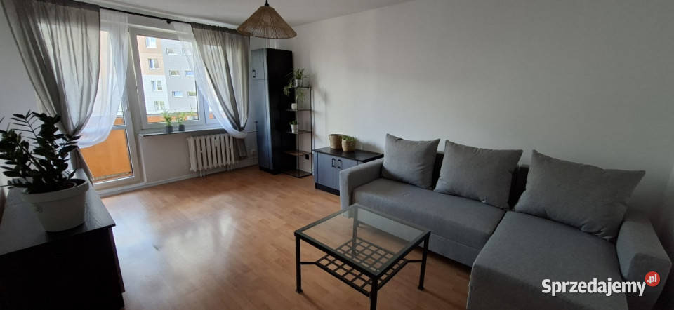 2 pokoje pierwszego Najemcy bez pośredników
