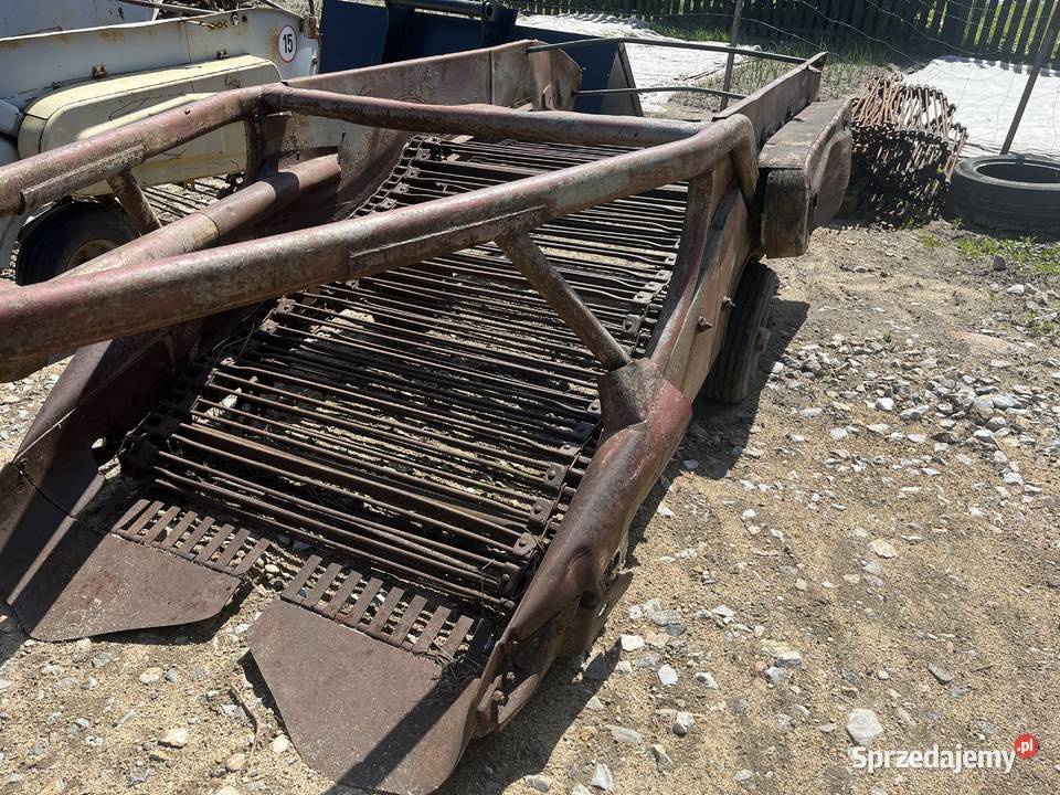 Kopaczka lubelskie Borki