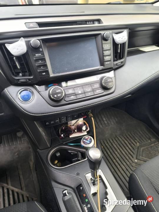 Toyota RAV 4 Jasień