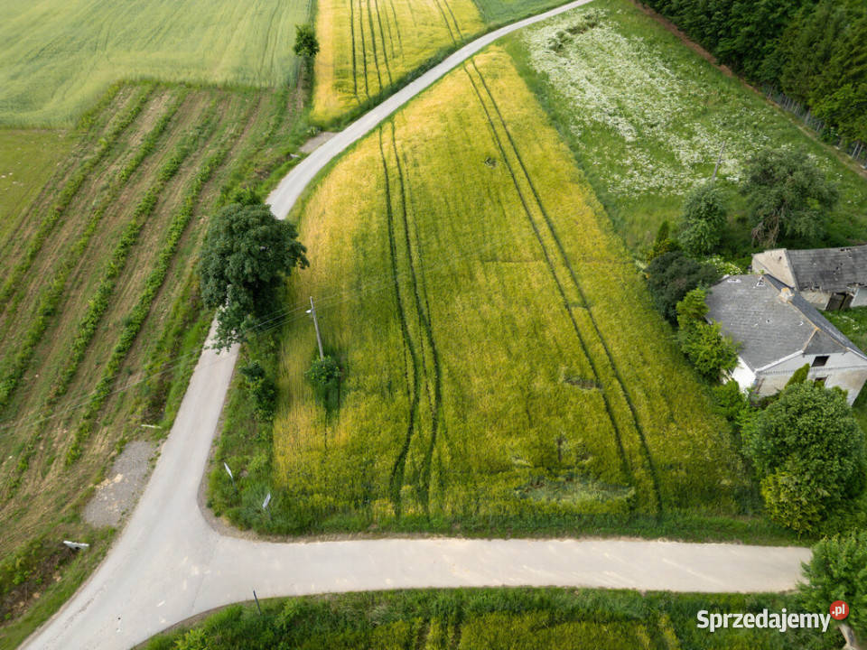 Ustawna działka z WZ 2500m2 Czajęcice szambo Sprzedaż sprzedam