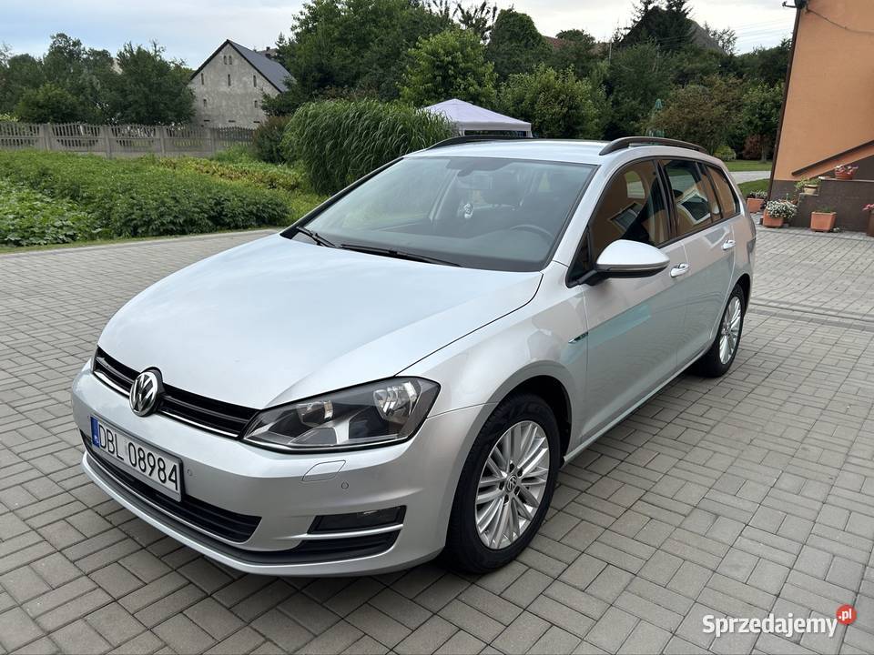 Volkswagen Golf 7 16 TDi nieuszkodzony Raciborowice Dolne sprzedam