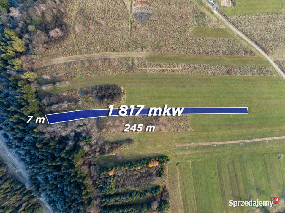 Twój kawałek natury w Ostrowsku 7m Ostrowsko sprzedam