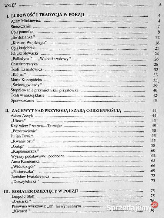 Język polski Zeszyt ćwiczeń kl 6 cz 2 Czesława lubelskie Chełm
