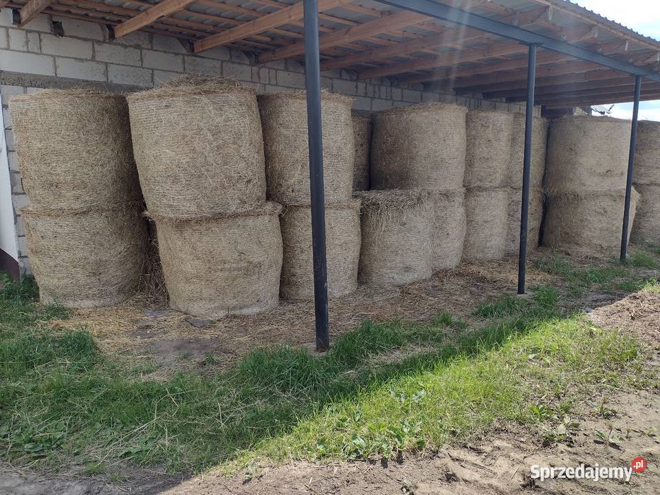 Słoma w belach przyczepa Produkcja roślinna Chorzele