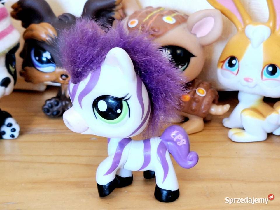 Zebra puchata fiolet Littlest Pet Shop Braniewo