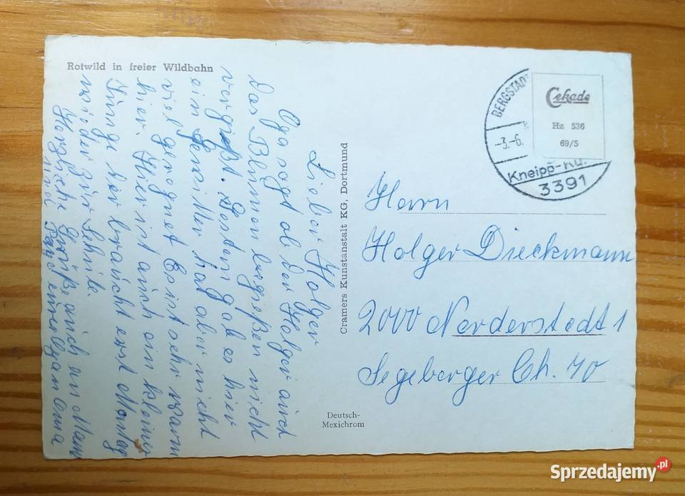 RODZINA JELENI JEDNE Z NAJWIĘKSZYCH DZIKICH Piszczac