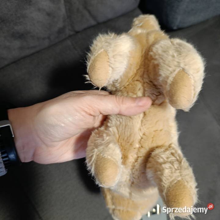 Pluszak piesek następny maskotka Poznań