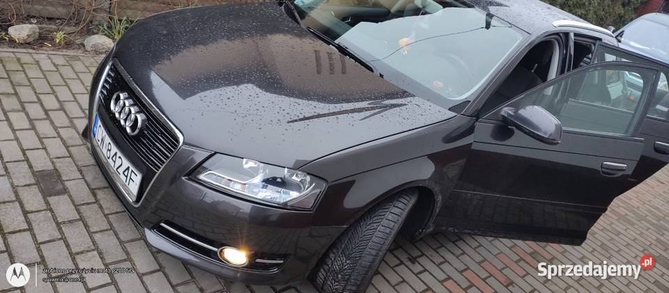 oferuje na spżedarz zadbany egzemplarz Audi A3 tempomat A3 Włocławek