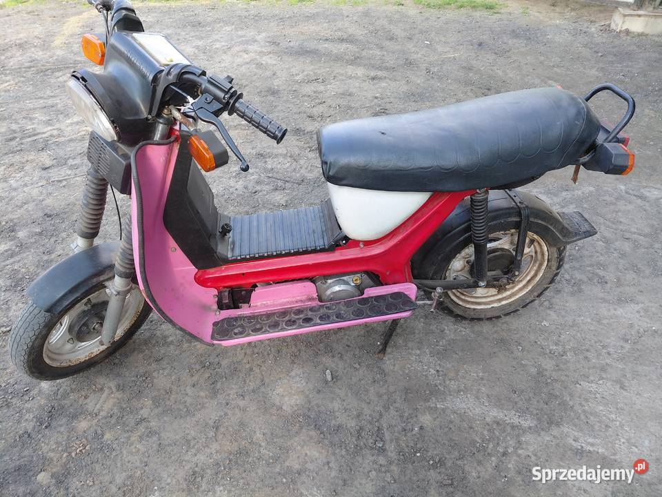 Simson