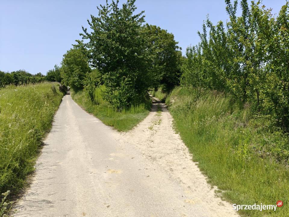 Syndyk sprzeda nieruchomości gruntowe w 3200m2 Śmiechowice