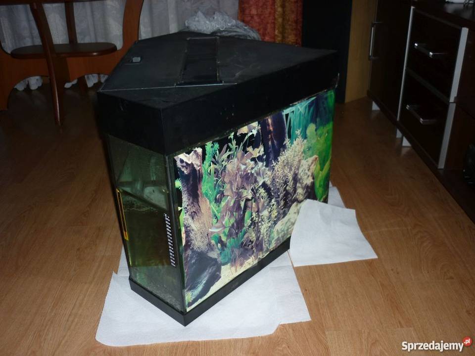 Akwarium narożne 100L pokrywa oryginalna łódzkie Wilczkowice Średnie