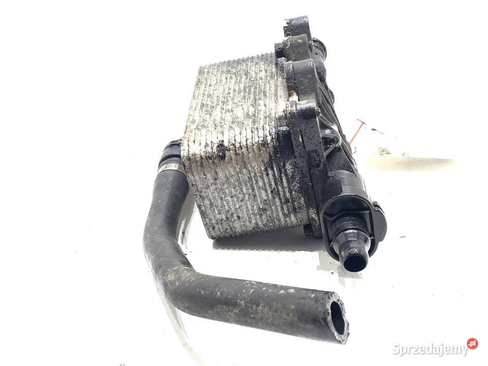 CHŁODNICA OLEJU SKRZYNI BMW E61 7803830 25 177