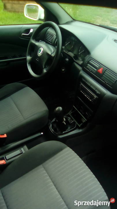 Skoda Octavia 2002 r Stary Dzików