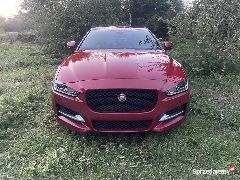Jaguar xe 2015 r R sport świętokrzyskie
