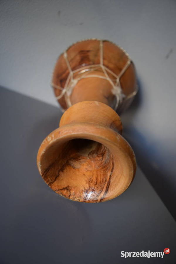 Bębenek afrykański Piaseczno