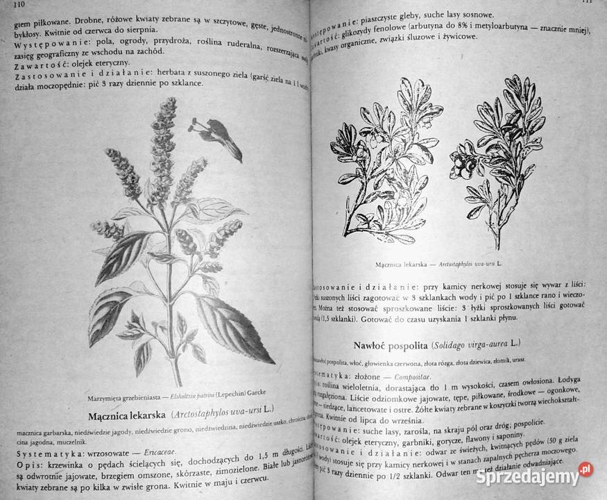 Przewodnik ziołolecznictwa ludowego E Kuźniewski Chełm