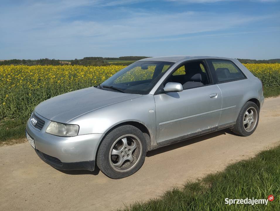 Audi a3 Ściborzyce