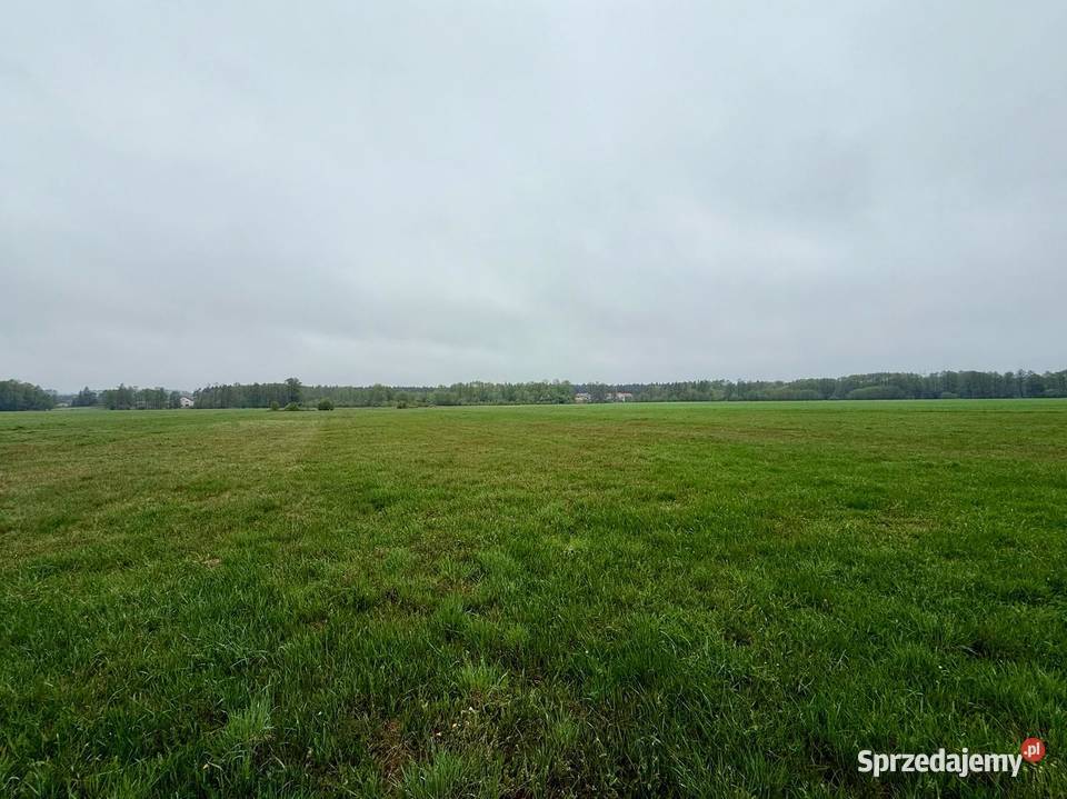 Młyny Piekarskie gmDobradziałka rolna na Sprzedaż wielkopolskie